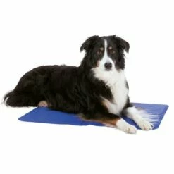 Trixie Kjølematte Blå -Kjæledyrutstyr Salgsbutikk trixie kylmatta bla d1