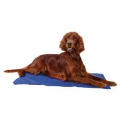 Trixie Kjølematte Blå -Kjæledyrutstyr Salgsbutikk trixie kylmatta bla 52379 f2