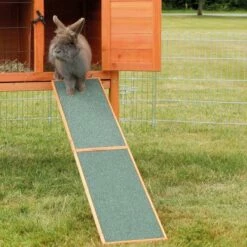 Trixie Trerampe For Smådyr 50 Cm