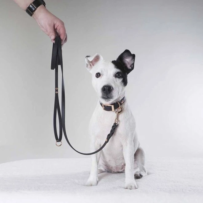 Tyylivoitto Hundekobbel Flettet Svart 4 Tyylivoitto Hundekobbel Flettet Svart - Bilde 2