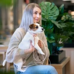 Tyylivoitto Hundekobbel Flettet Beige -Kjæledyrutstyr Salgsbutikk tyylivoitto braid hihna nude ruusukulta 200cm az 2a