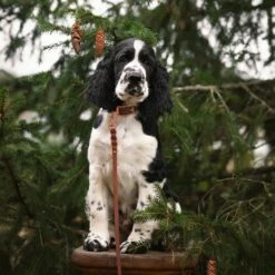 Tyylivoitto Hundekobbel Flettet Brun -Kjæledyrutstyr Salgsbutikk tyylivoitto braid hihna ruskea ruusukulta 200cm az 84803 05