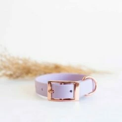 Tyylivoitto Classy Hundehalsbånd Lila