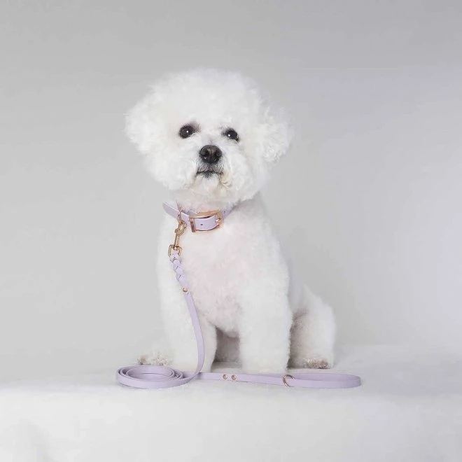 Tyylivoitto Classy Hundehalsbånd Lila 5 Tyylivoitto Classy Hundehalsbånd Lila - Bilde 3