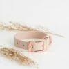Tyylivoitto Classy Hundehalsbånd Beige 2 Tyylivoitto Classy Hundehalsbånd Beige -Kjæledyrutstyr Salgsbutikk tyylivoitto classy panta kapea nude ruusukulta az 07