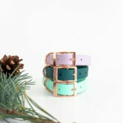 Tyylivoitto Classy Hundehalsbånd Grønn -Kjæledyrutstyr Salgsbutikk tyylivoitto classy panta kapea smaragdi az 16