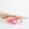 Tyylivoitto Classy Hundehalsbånd Lysrosa -Kjæledyrutstyr Salgsbutikk tyylivoitto classy panta kapea vaaleanpunainen ruusukulta az 96