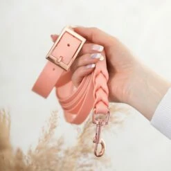 Tyylivoitto Classy Hundehalsband Stor Modell Fresken 8 Tyylivoitto Classy Hundehalsband Stor Modell Fresken -Kjæledyrutstyr Salgsbutikk tyylivoitto classy panta persikka ruusukulta az 75