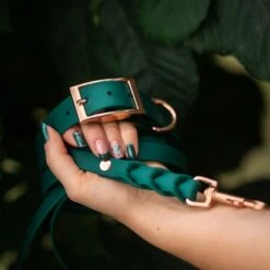 Tyylivoitto Classy Hundehalsbånd Stor Modell Grønn -Kjæledyrutstyr Salgsbutikk tyylivoitto classy panta smaragdi az 2d