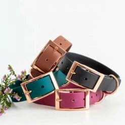 Tyylivoitto Classy Hundehalsbånd Stor Modell Grønn -Kjæledyrutstyr Salgsbutikk tyylivoitto classy panta smaragdi az 78