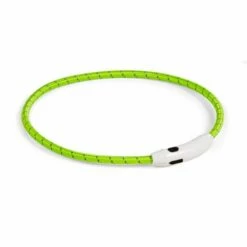 Basic LED-halsbånd Til Hund Nylon