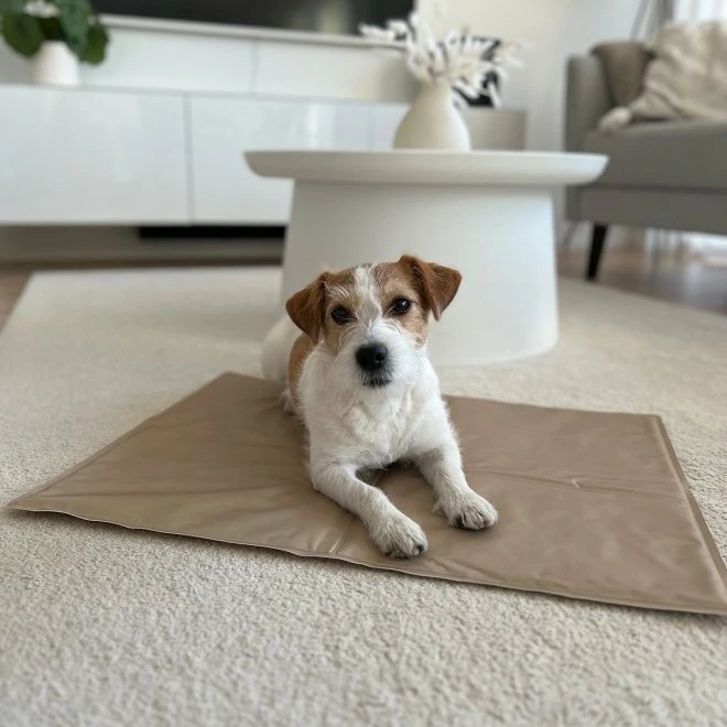 Flamingo Kjølematte Bronse 70x110 Cm 4 Flamingo Kjølematte Bronse 70x110 Cm - Bilde 2